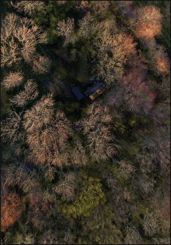 Barn in the woods
