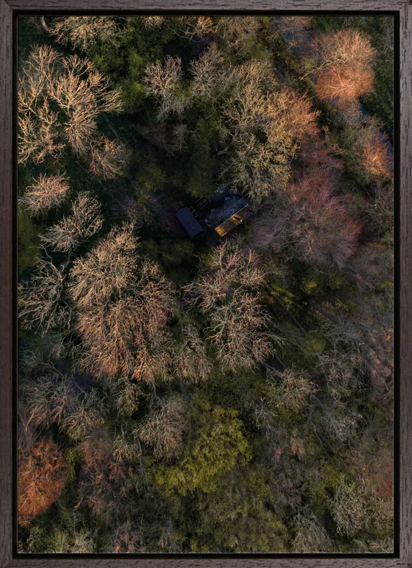 Barn in the woods