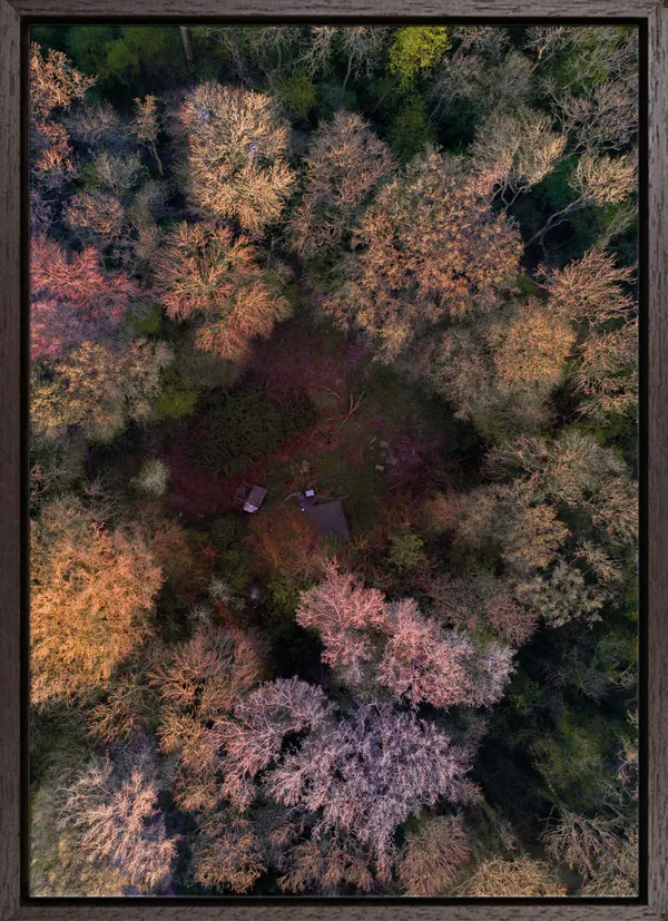 Cabin in the woods