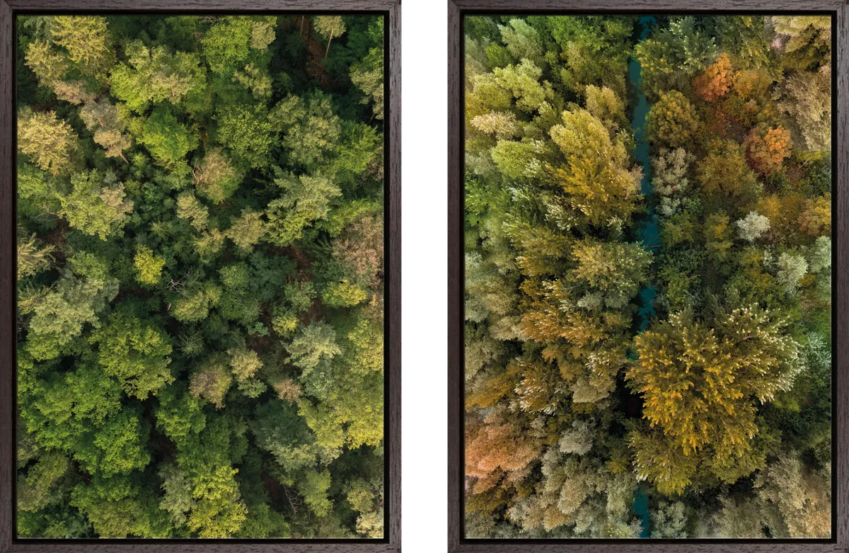 Combinatie Top of the trees & Stream through the forest – combinatie van dronefoto’s in houten baklijst