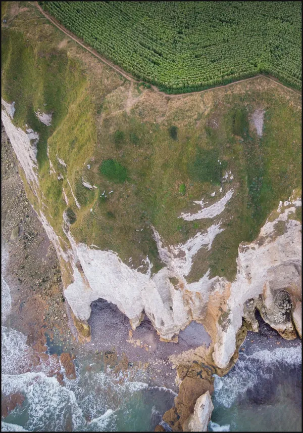 Cornfield on the cliff
