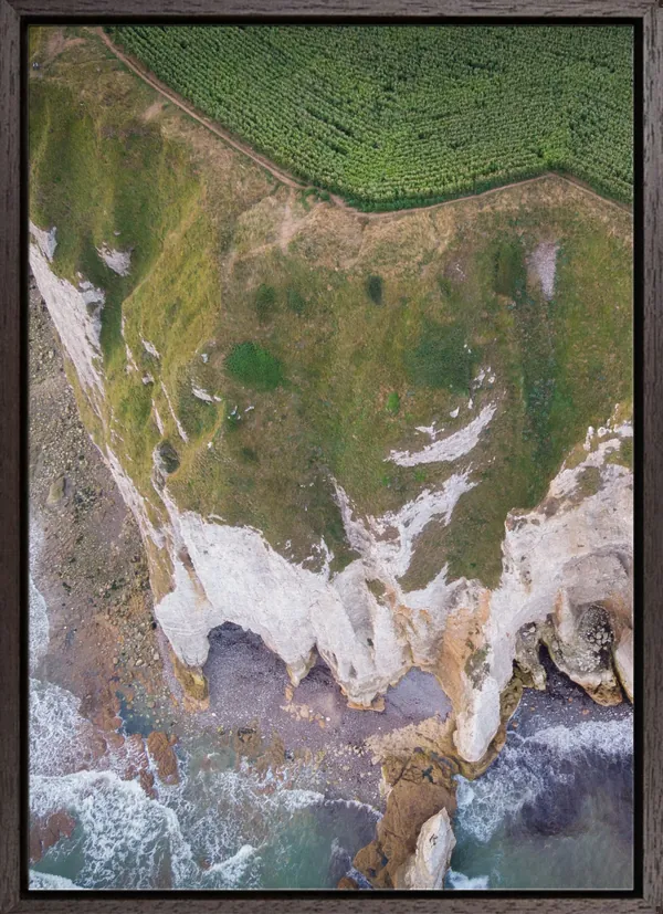 Cornfield on the cliff