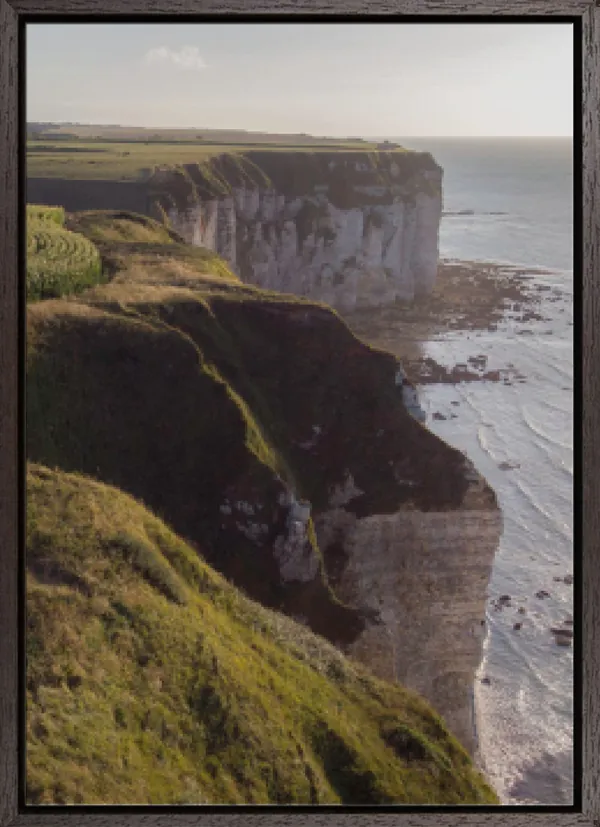 Sunset cornfield on the cliff