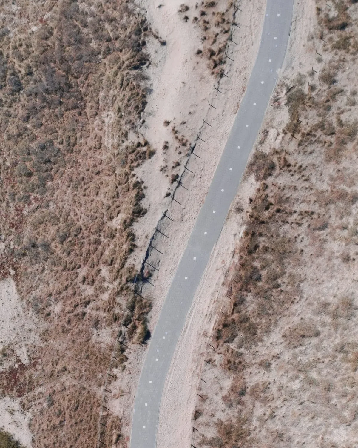 Detail of Bike the dunes