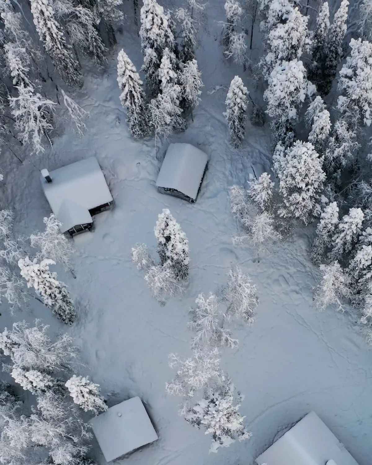 Detail of Cabin in the snow