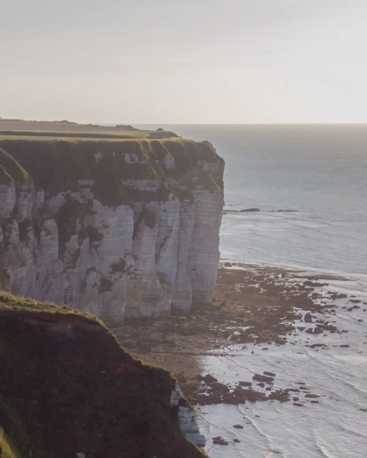 Detail of Sunset cornfield on the cliff